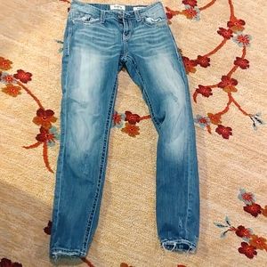 Daytrip Virgo Skinny Jeans